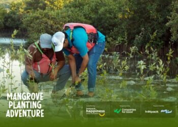 Hotpack Employees Lead Mangrove Plantation Drive at Al Zorah Reserve in Ajman