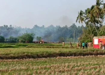 Thrissur Fireworks Explosion: DNA Tests to Aid Identification as Death Toll Rises to 14