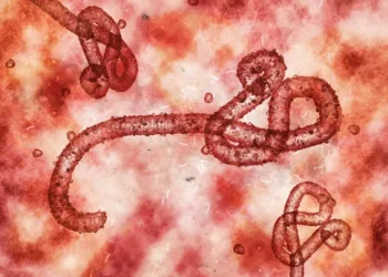 UAE Activates High-Level Health Surveillance to Monitor Ebola Developments
