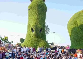 Global Labor Day: Hotpack Celebrates with 1,500 Employees at Dubai Miracle Garden
