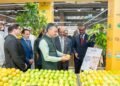 Lulu Mango Mania Returns Across the GCC with Over 85 Premium Mango Varieties.