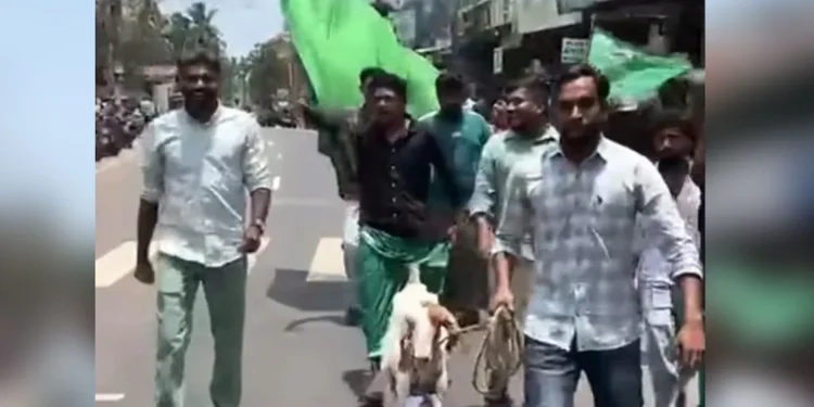 IUML Workers Booked in Malappuram for Animal Cruelty During Victory Celebrations