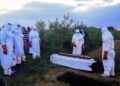 WHO Reports 906 Suspected Ebola Cases and 223 Deaths in DR Congo