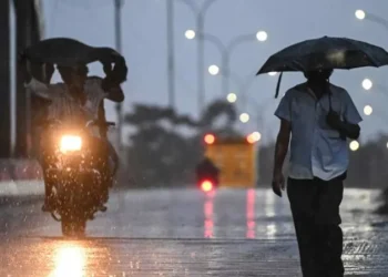 Heavy Rain Lashes Kerala; IMD Issues Yellow Alert For 7 Districts As Monsoon Onset Approaches