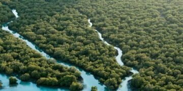 Abu Dhabi Unveils Pioneering Environmental Conservation Initiatives