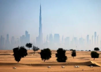 UAE Summer Heat Intensifies: Mercury Hits Year’s Highest at 48.6°C in Fujairah