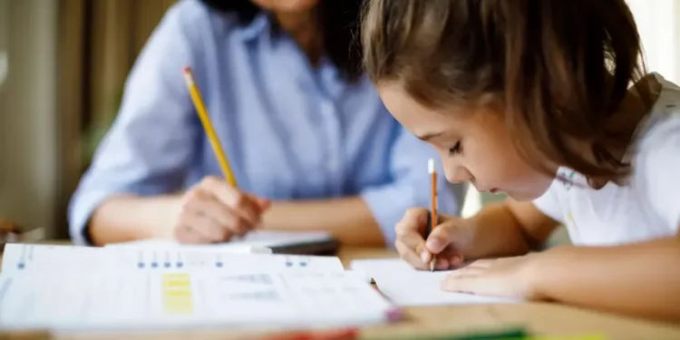 UAE Legalizes Private Tuition: New Licensing System Launched for Educators and Professionals