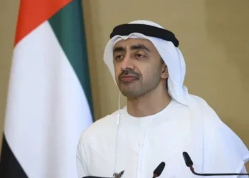 UAE to Strengthen International Partnerships and Enhance Diplomatic Role for National Stability, Announces Foreign Minister