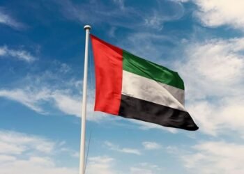 UAE Condemns Terrorist Attack on Niger Airport