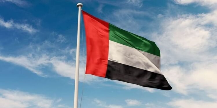 UAE Condemns Terrorist Attack on Niger Airport