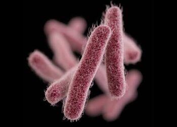 Shigella Outbreak in Kerala: Death Toll Rises to 5; High-Power Committee to be Formed