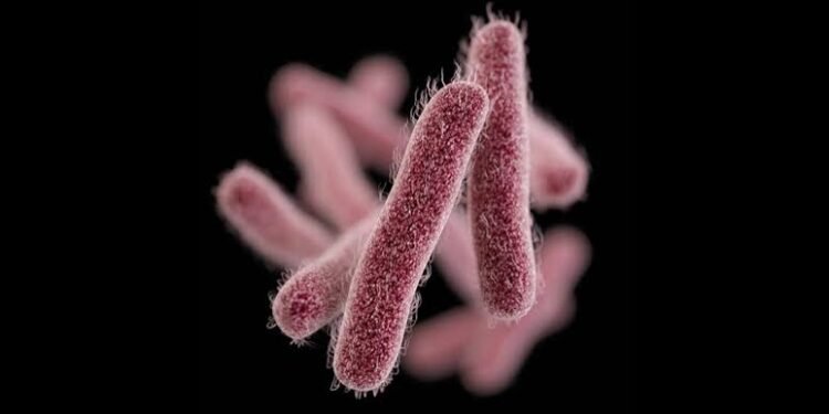 Shigella Outbreak in Kerala: Death Toll Rises to 5; High-Power Committee to be Formed