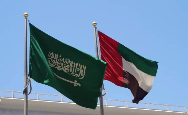 UAE, Saudi Arabia, GCC, Foreign Affairs, Abu Dhabi, Media Safety, Gulf News, Regional Security