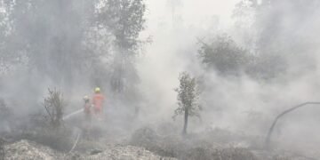 Dense wildfire haze across Kalimantan disrupts 409 flights in Indonesia as transport authorities enforce strict visibility safety protocols.