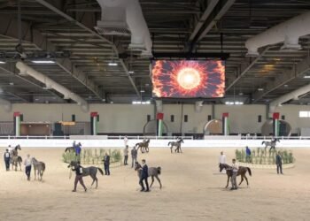 The UAE National Arabian Horse Championship opens at Boudheib Academy in Abu Dhabi, featuring 500 horses competing for AED 4.47 million in prizes.